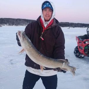 Meet your Posher, Timothy